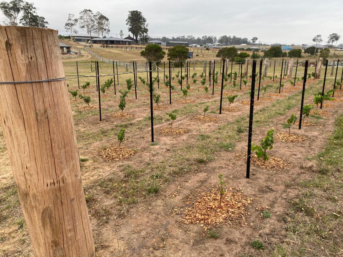 Rosehill Vines Villa Millfield Exterior photo